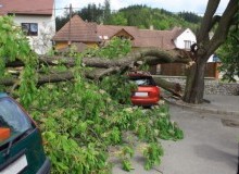 Kwikfynd Tree Cutting Services
narrewarrennorth